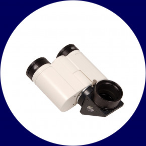 Giant Baader Binocular Viewer Mark V (Zeiss-Großfeld-Bino) +Case
